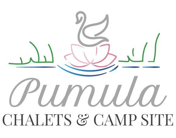 Pumula