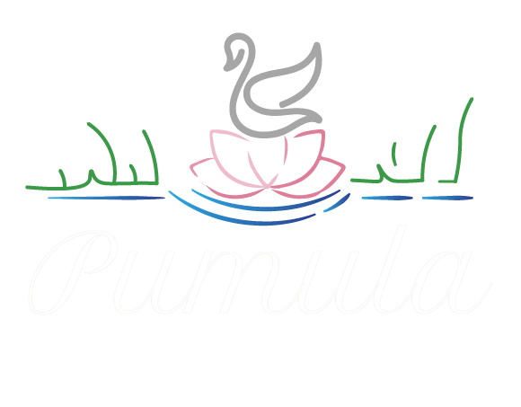 Pumula